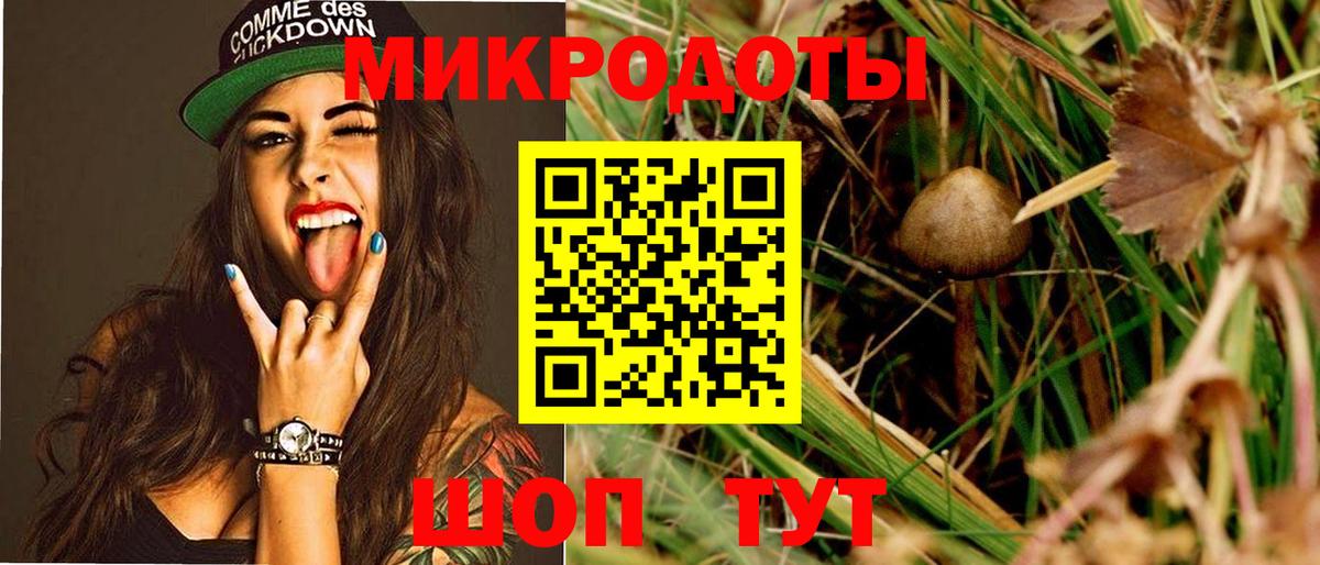 Алейск  Галлюциногенные грибы Psilocybine cubensis  где можно купить наркотик  Вход с VPN 